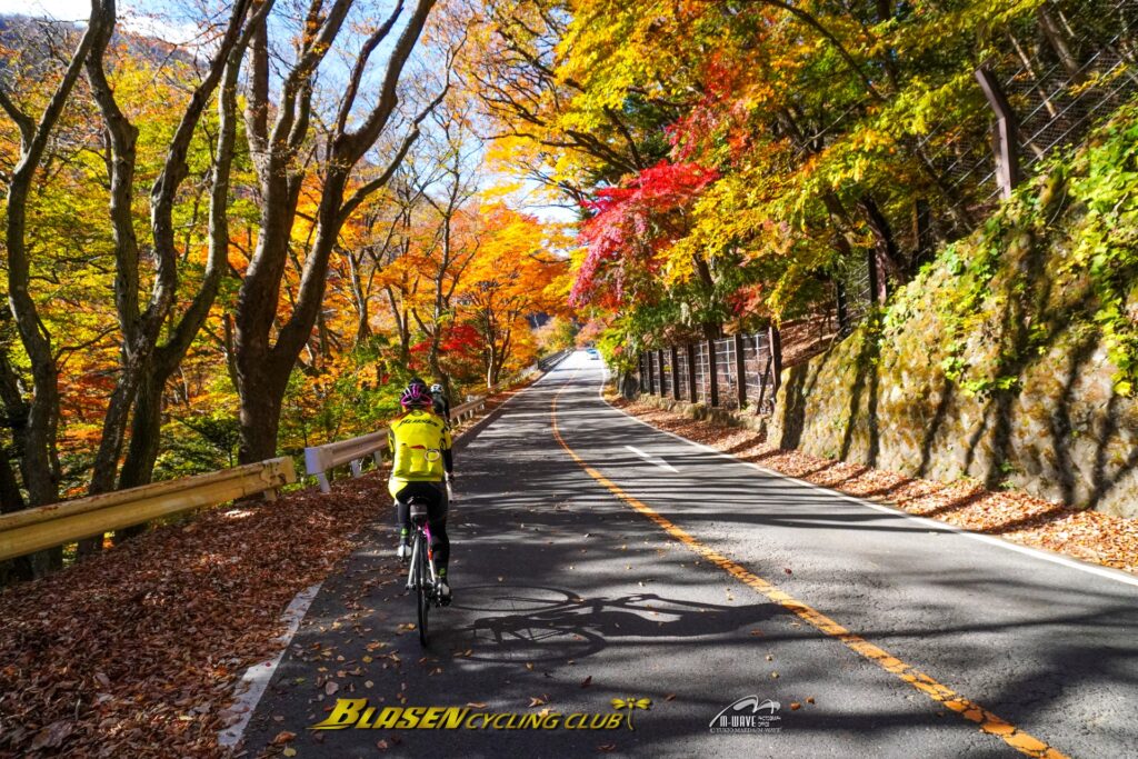 ブラーゼンサイクリング倶楽部紅葉ライドご報告