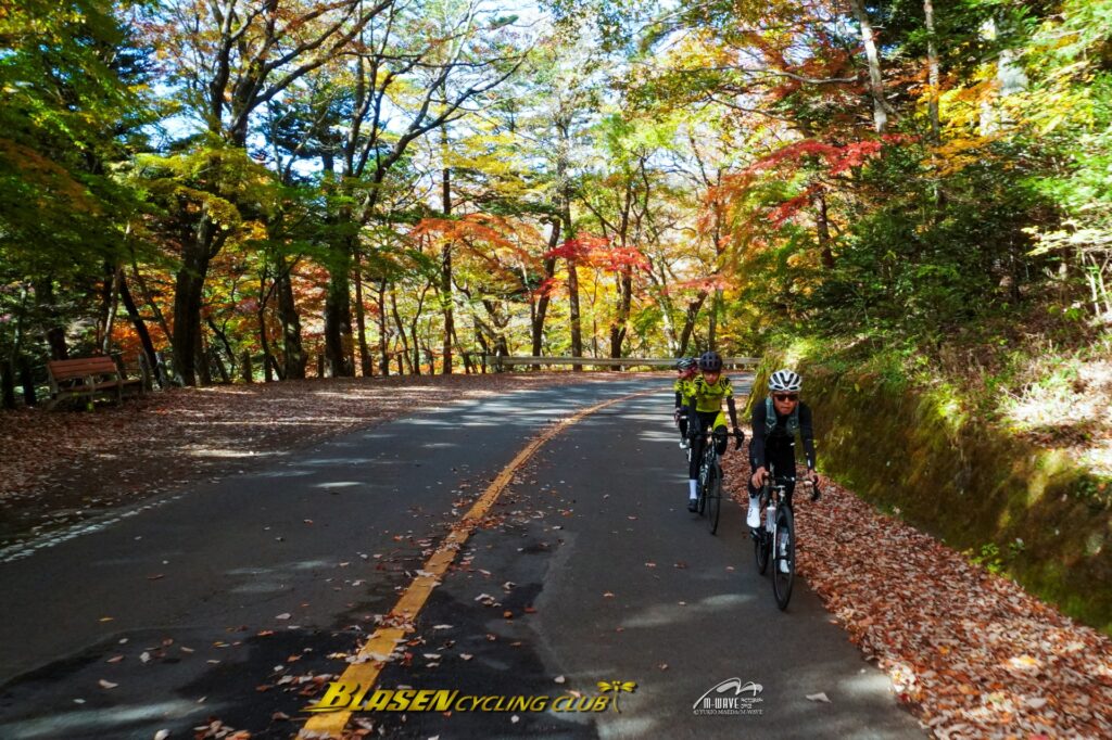 ブラーゼンサイクリング倶楽部紅葉ライドご報告