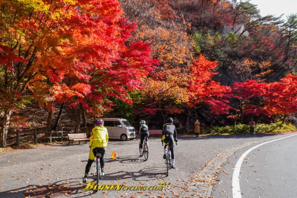 ブラーゼンサイクリング倶楽部紅葉ライドご報告