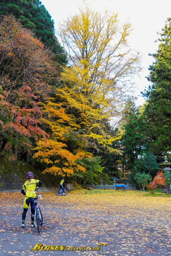 ブラーゼンサイクリング倶楽部紅葉ライドご報告