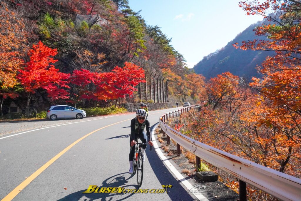 ブラーゼンサイクリング倶楽部紅葉ライドご報告