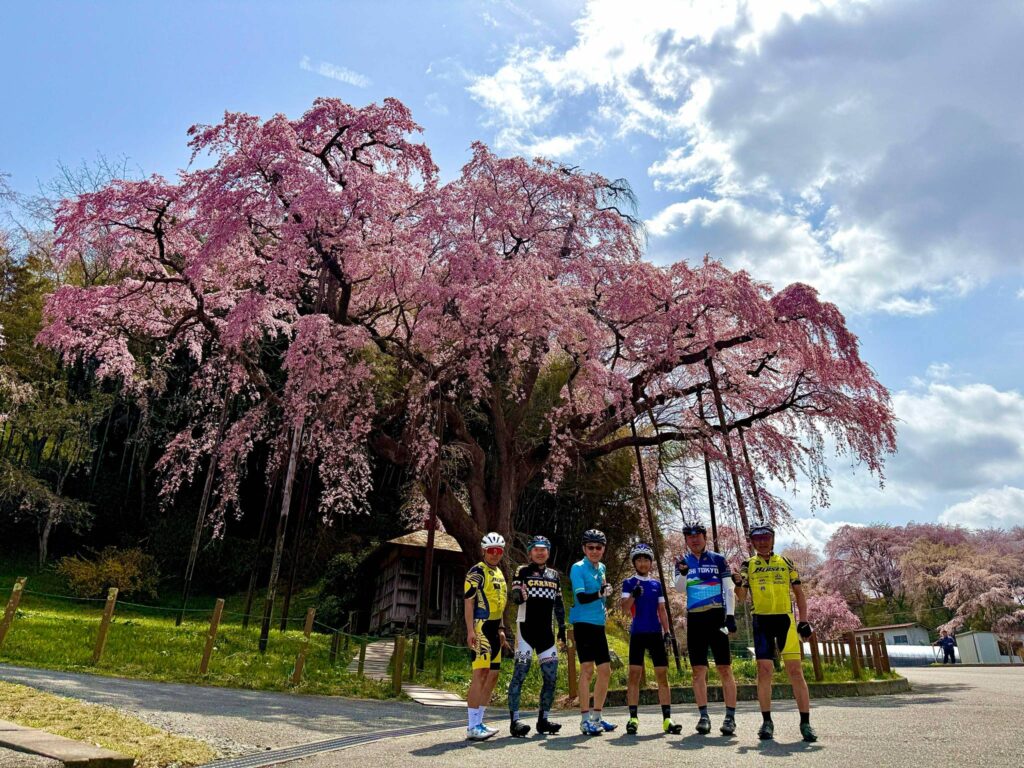 250419ウルトラの父に会いに行くライド