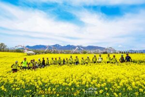 20250505菜の花ライド