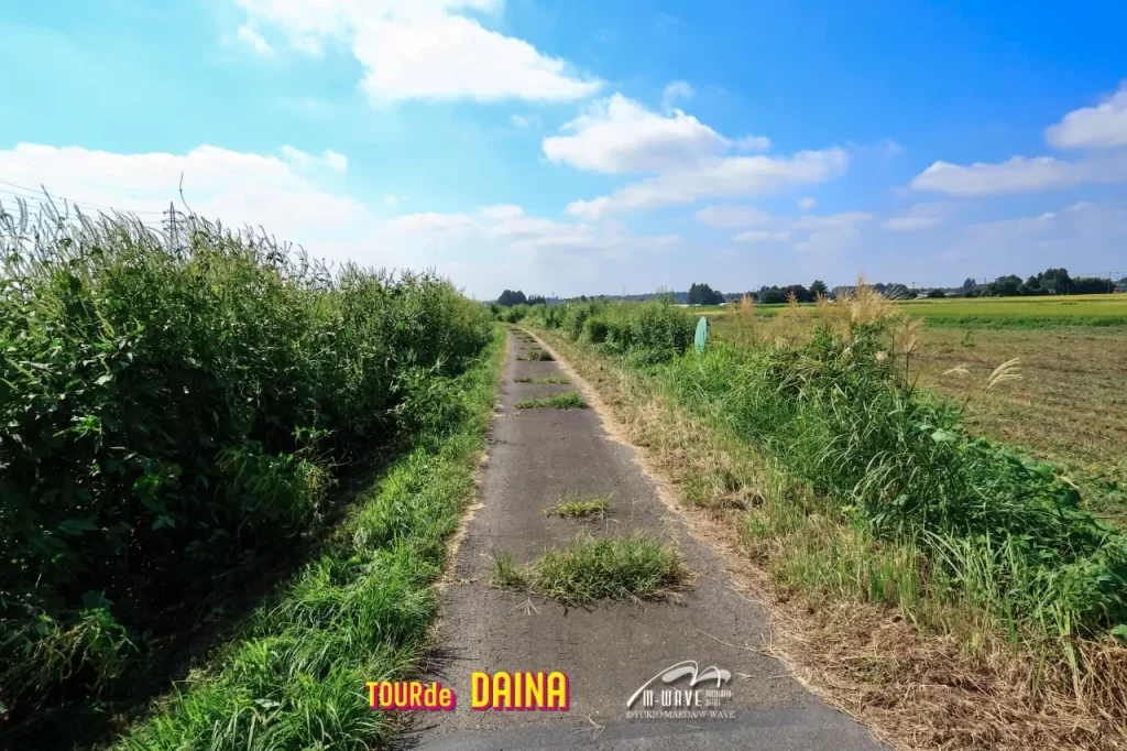 ツールド大那コース確認ライド