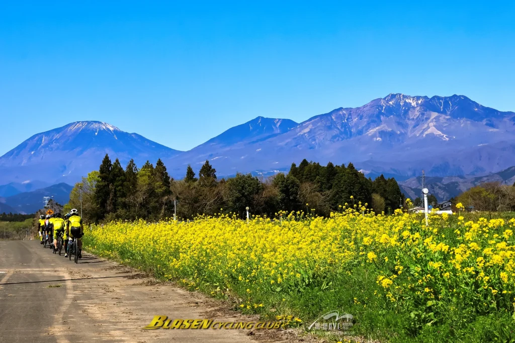ブラーゼンサイクリング俱楽部2026お花見ライド 日光編を開催しました