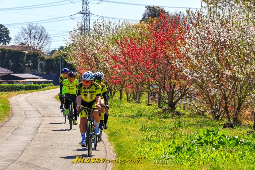 ブラーゼンサイクリング俱楽部2026お花見ライド 日光編を開催しました
