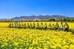 ブラーゼンサイクリング俱楽部-菜の花ライド2026